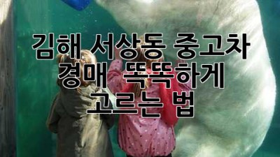 김해 서상동 중고차 경매 🚗 똑똑하게 고르는 법 ✨